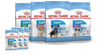 Grit Indrukwekkend In Tailored Health Nutrition For Cats & Dogs - Royal Canin