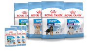 Royal Canin Maxi Puppy Food Feeding Chart Puppy And Pets