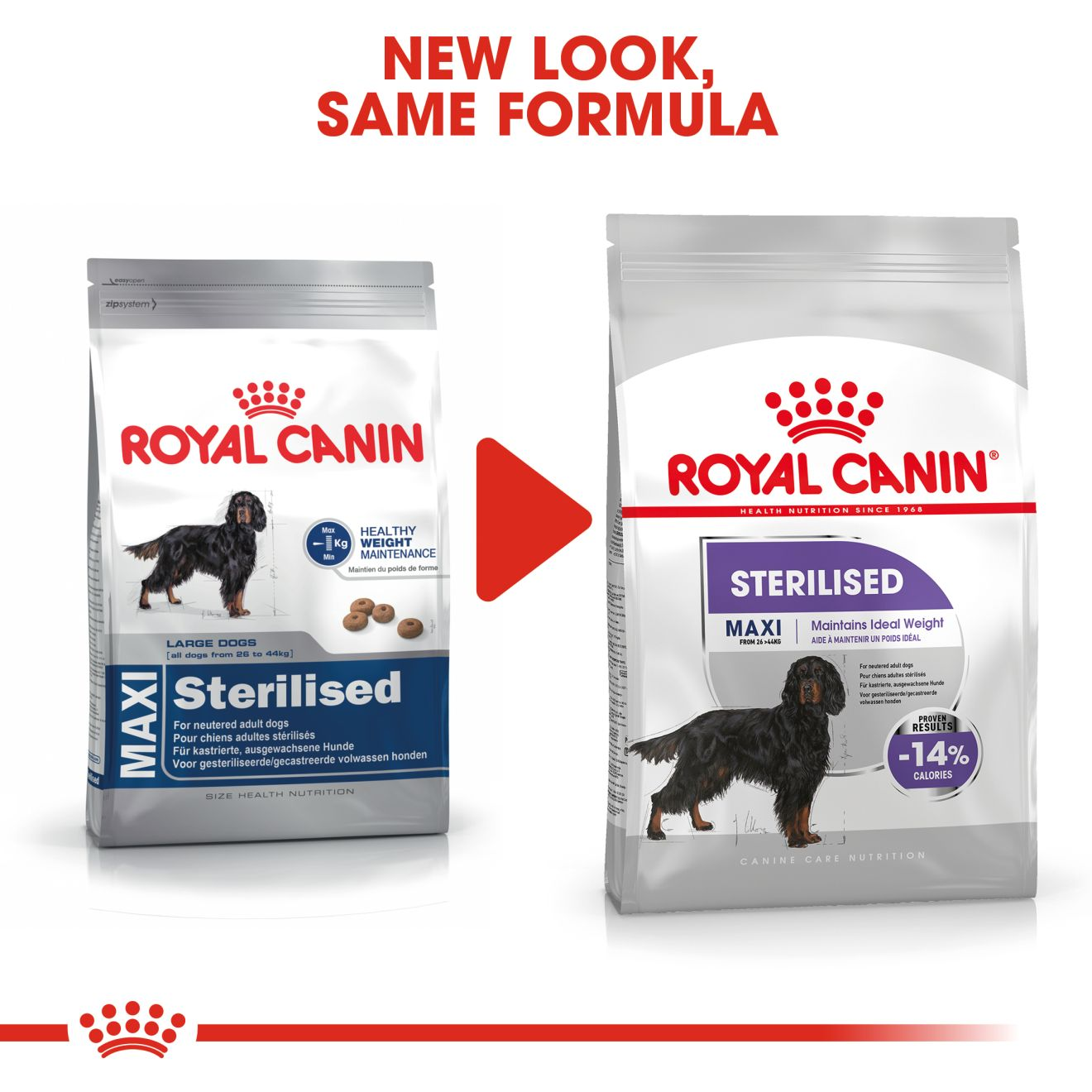 royal canin sterilised maxi