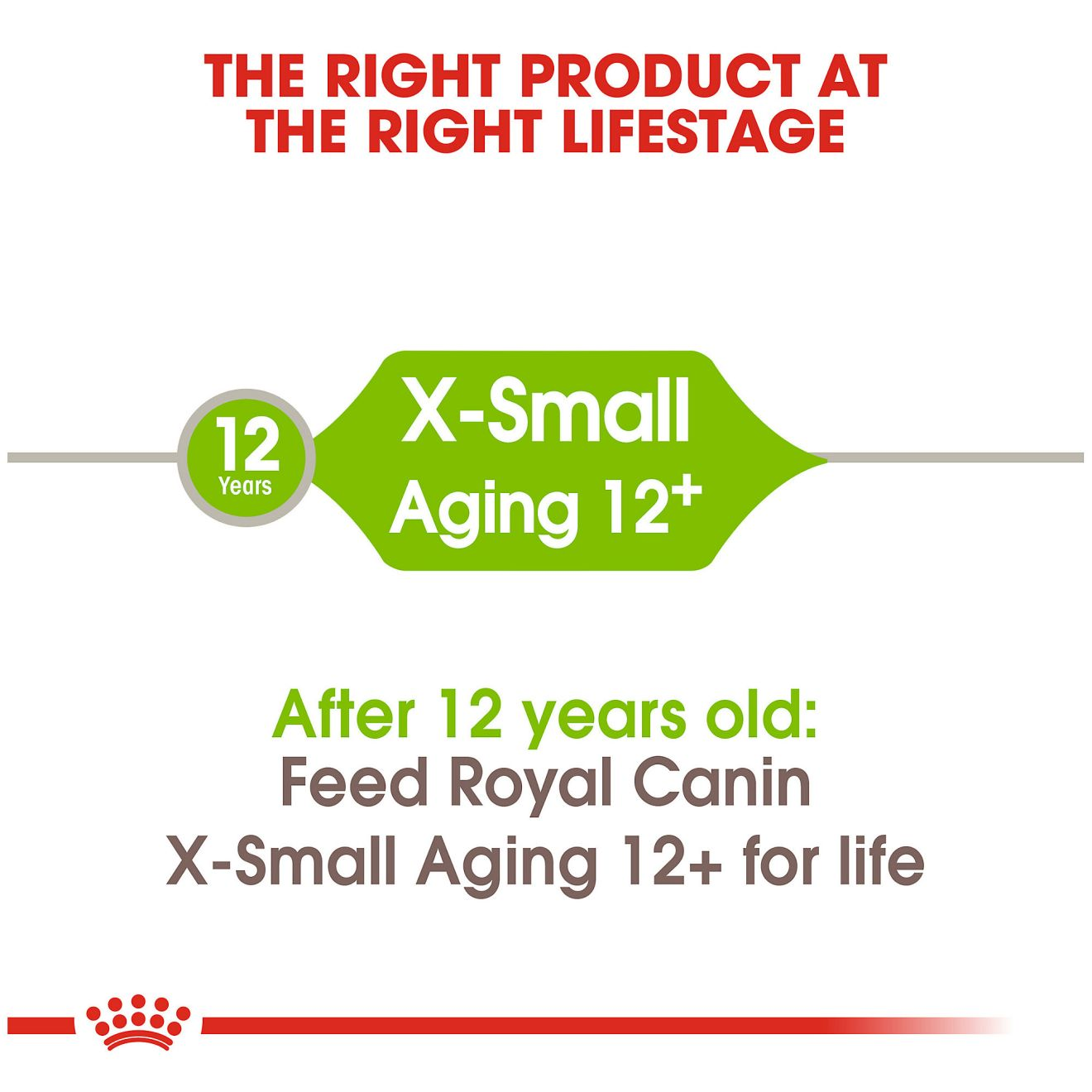 X-Small Aging 12+