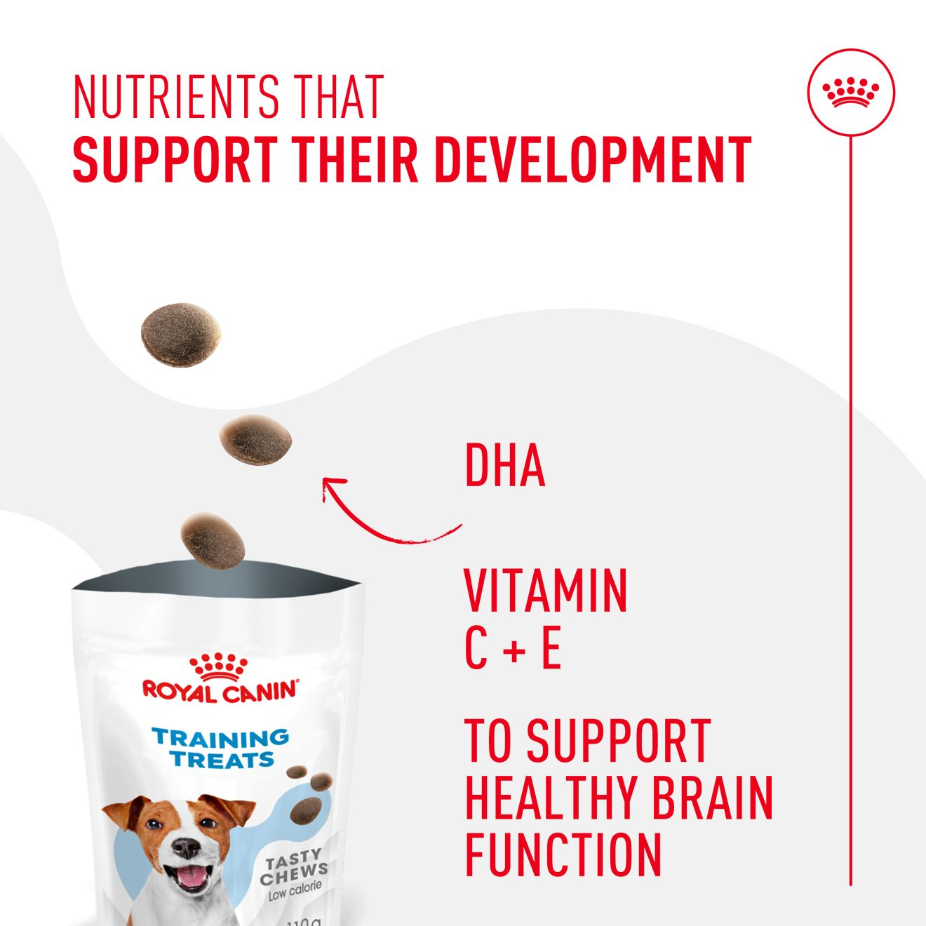 Royal Canin Dog Treats for Training
