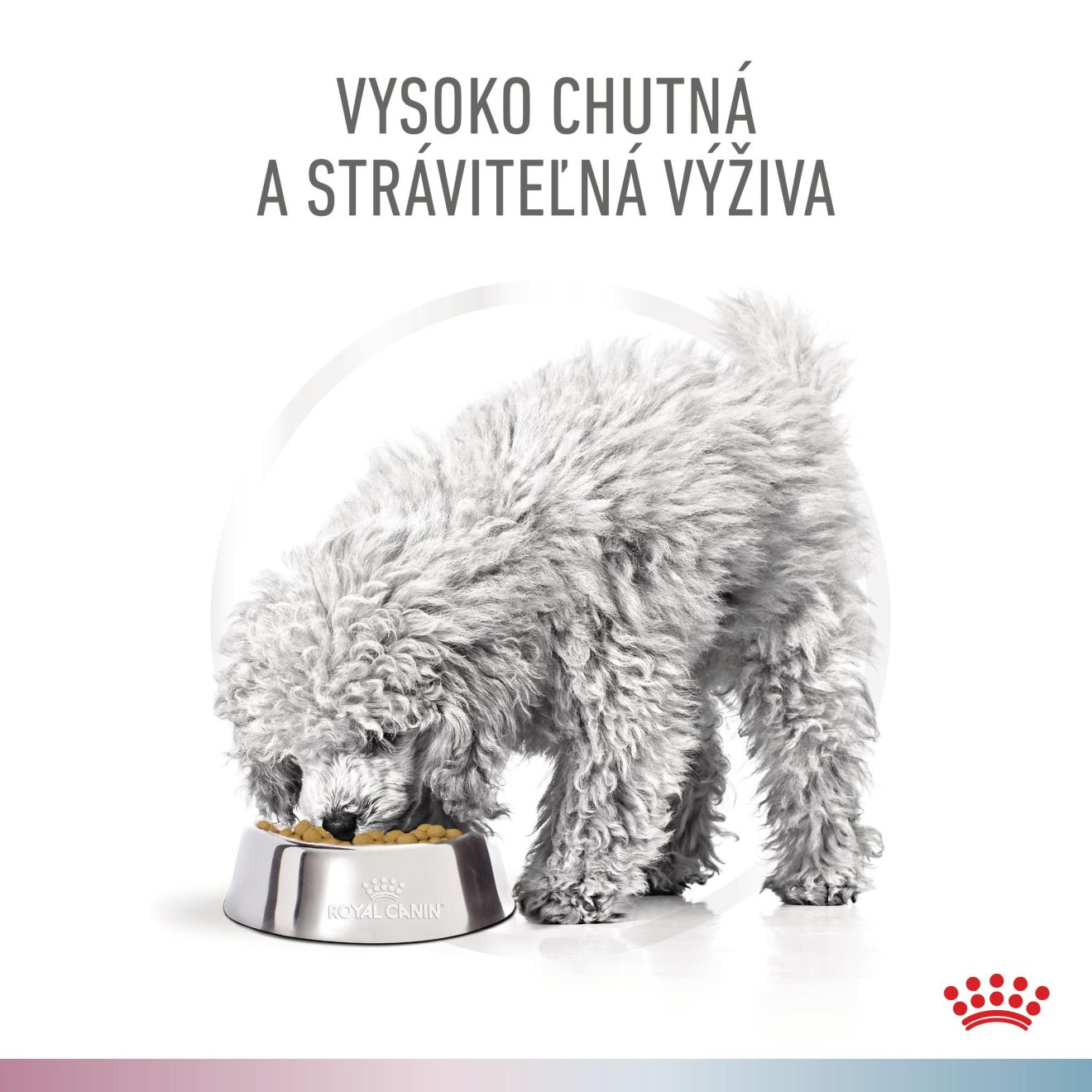 VHN Dog CA Renal-Hypoallergenic