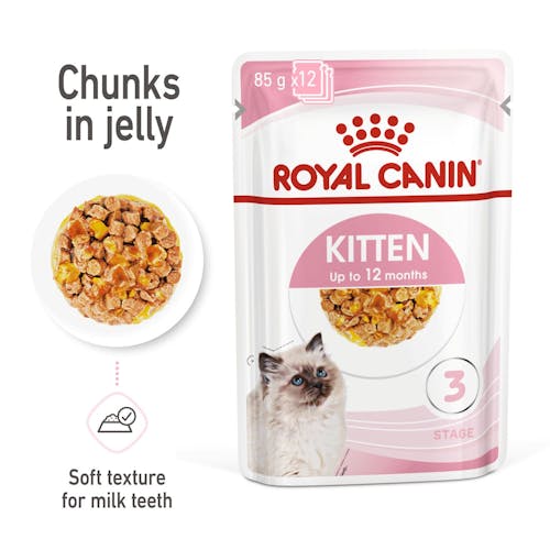 Kitten Chunks In Jelly
