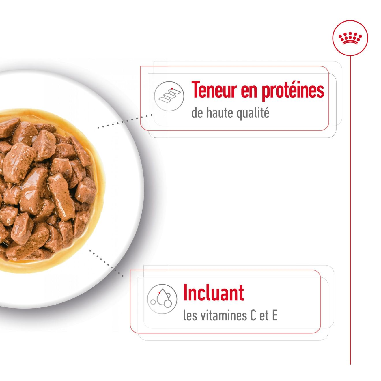 Medium Adult Gravy (émincés en sauce)