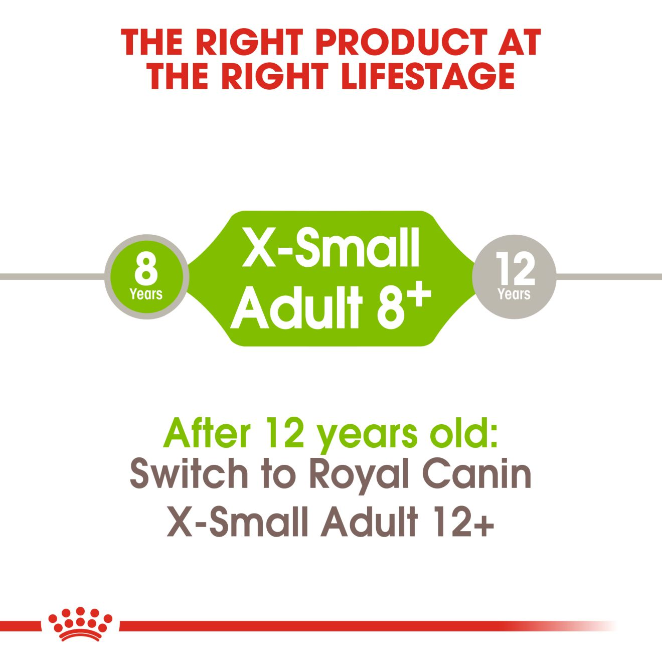 X-Small Adult 8+