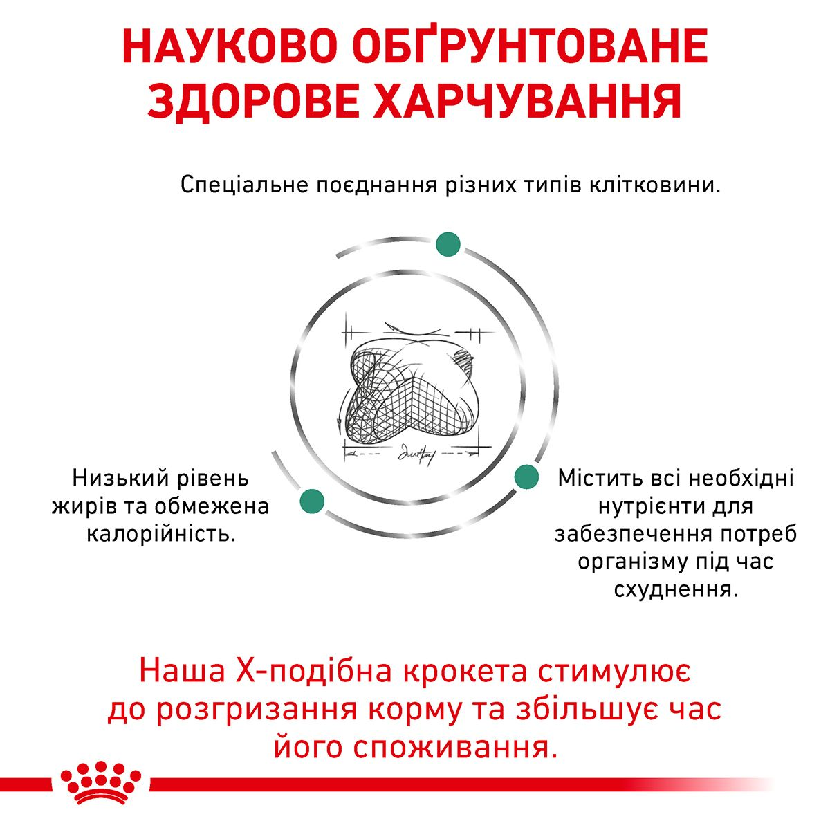 Satiety Weight Management