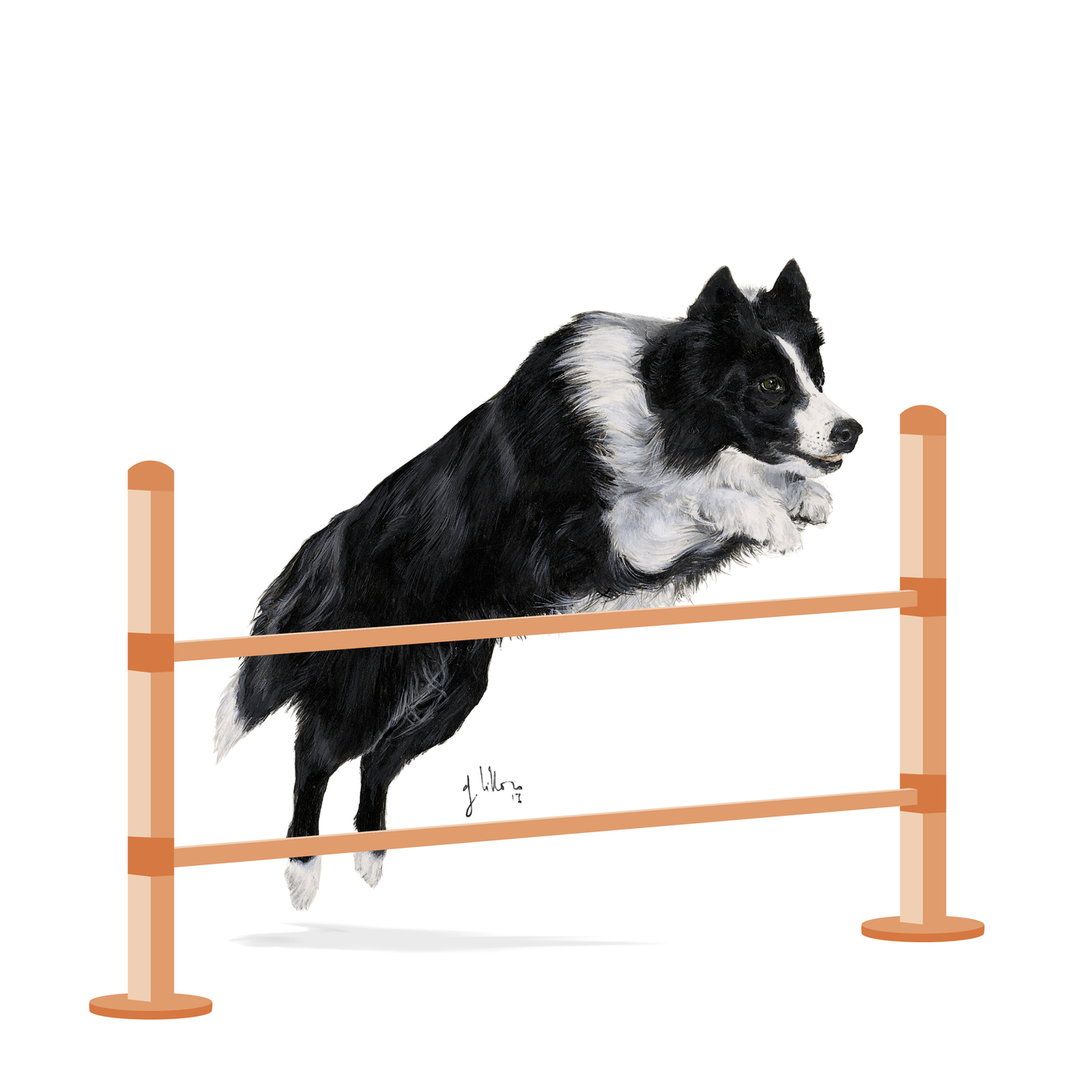 royal canin agility 4100