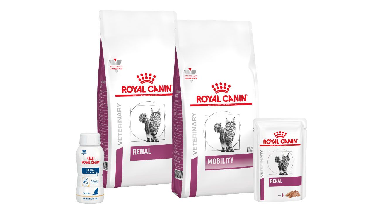 Cat kidney health range pack shot