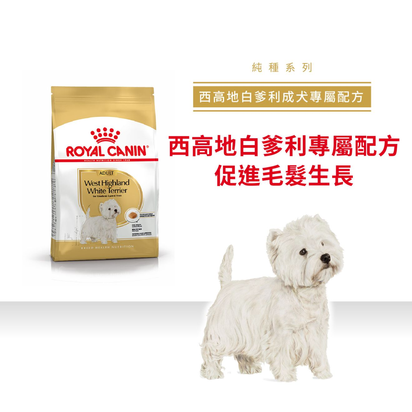 BHN 西高地白爹利成犬專屬配方