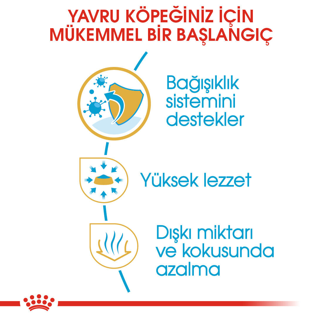 Chihuahua Puppy Yavru Köpek Kuru Maması