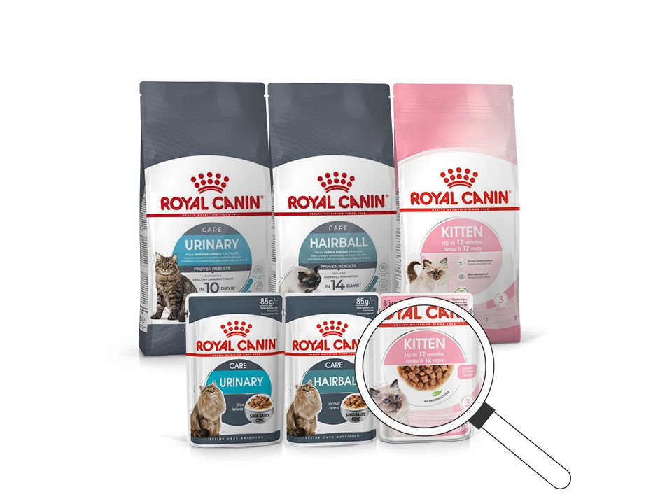 Cat breed range pack shot