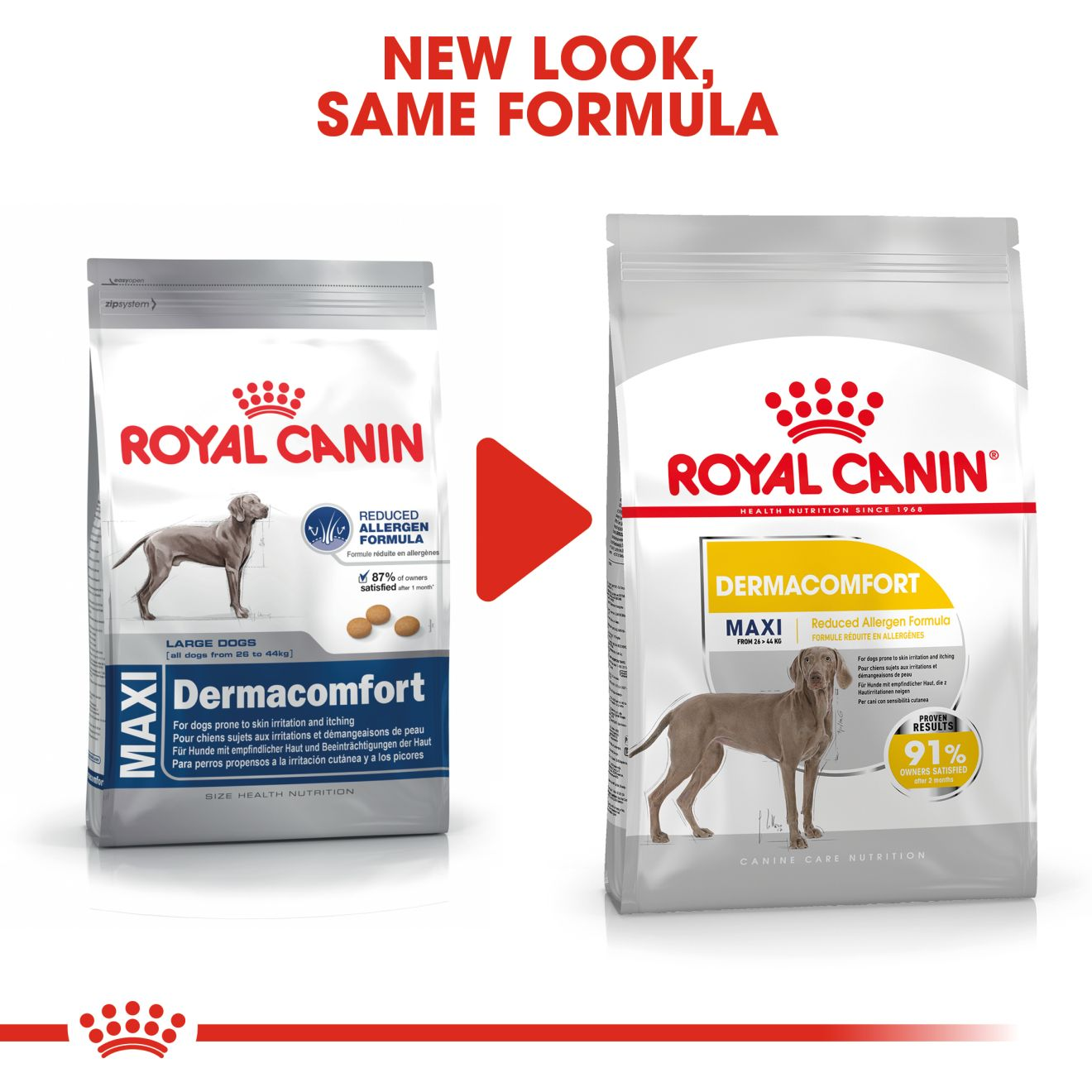 Royal canin 2025 dermacomfort maxi 12kg