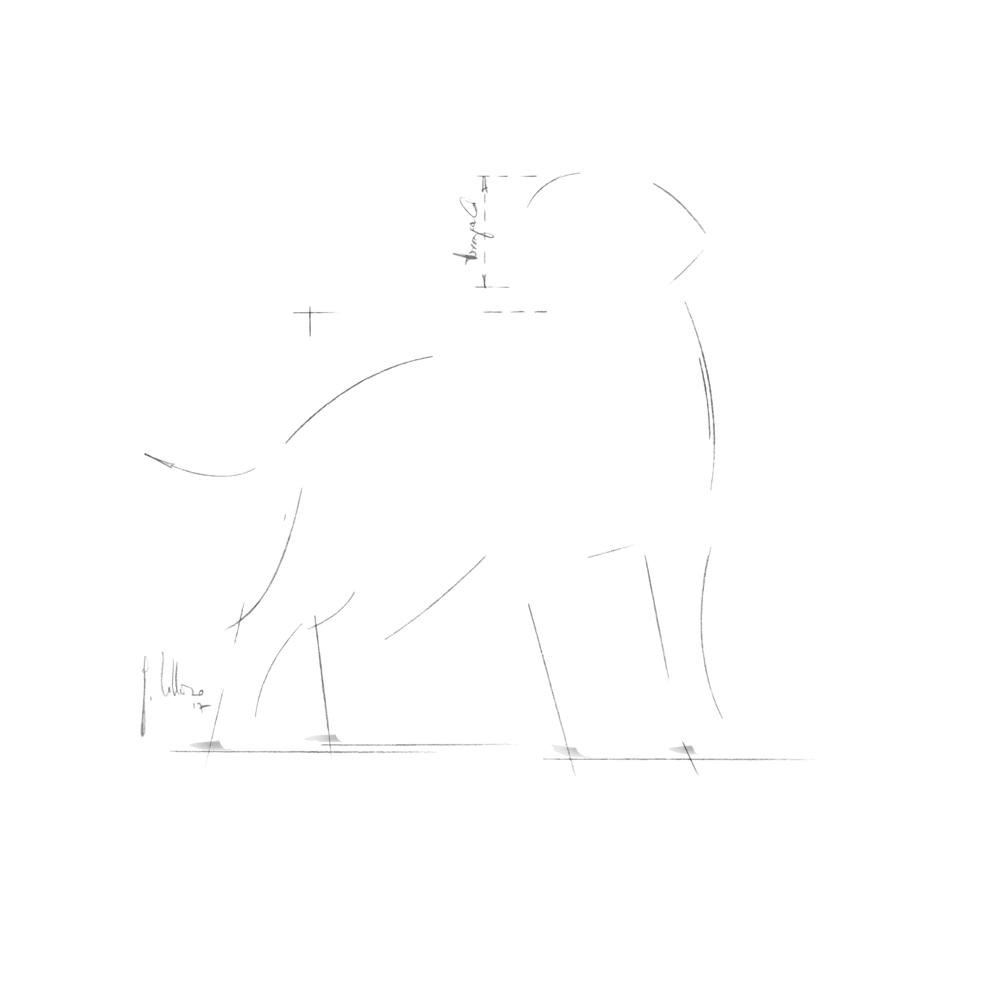 canine-vegetarian-royal-canin-us