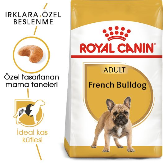 French Bulldog Adult Yetişkin Köpek Kuru Maması