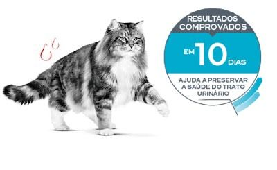 Emblematic of cat with urinary sensitivity and associated proven results