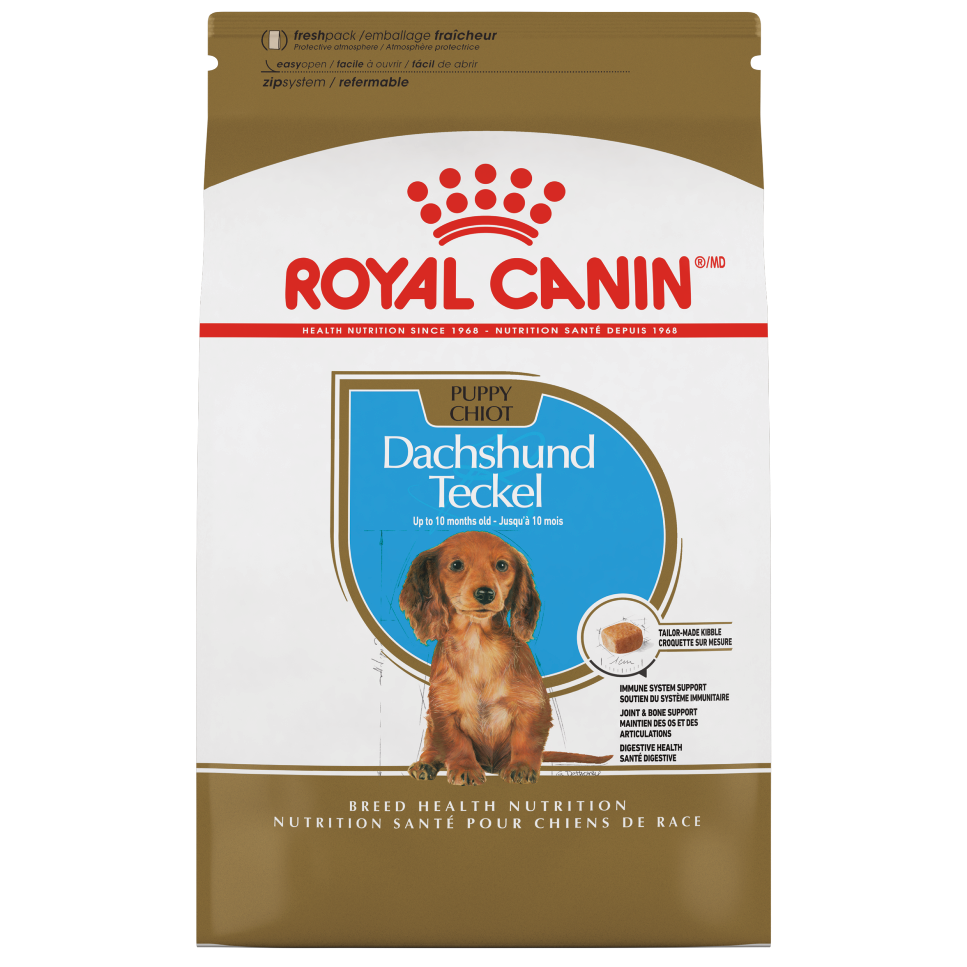 Dachshund Puppy Dry Dog Food Royal Canin US