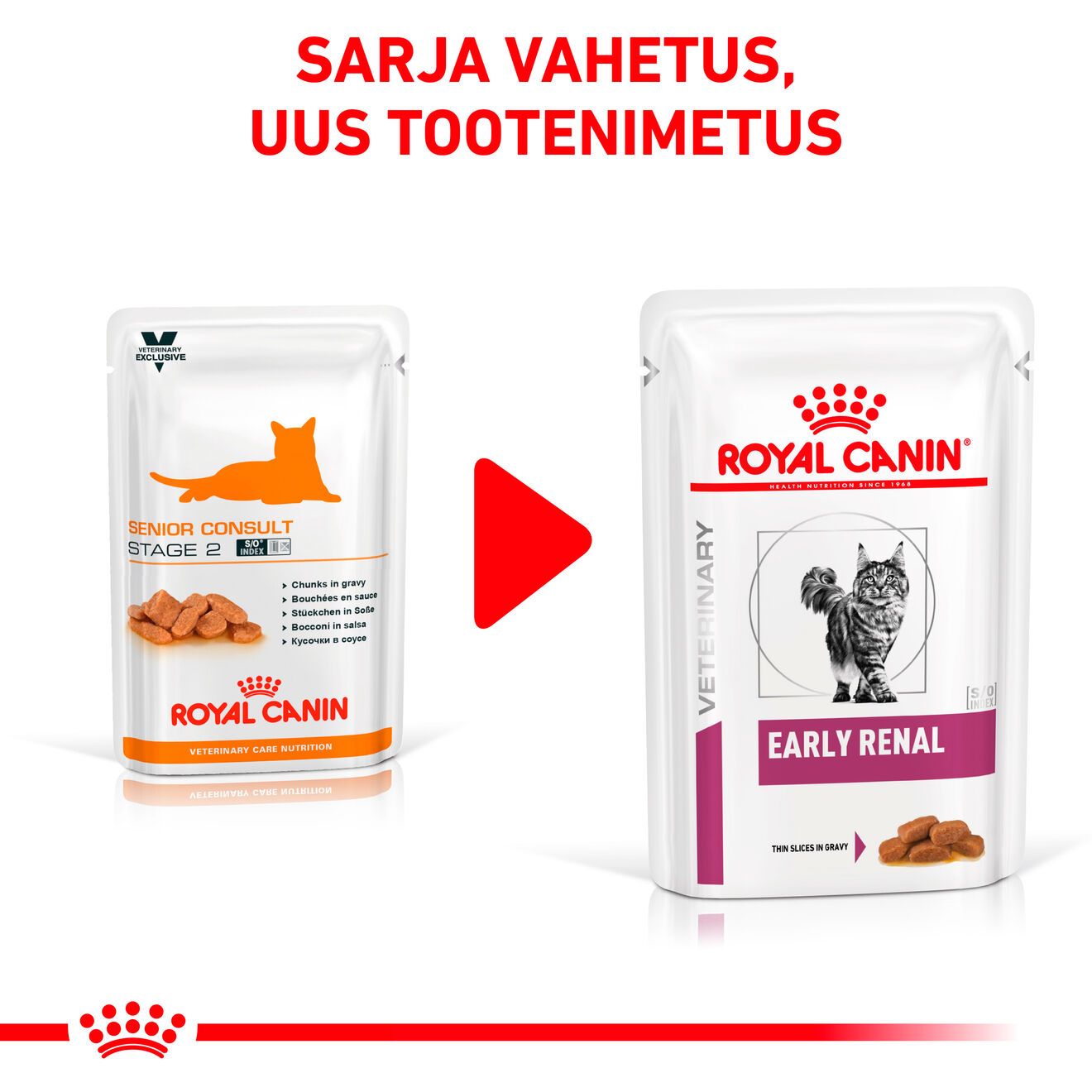 Royal Canin Early Renal Cat konserv (õhukesed viilud kastmes)