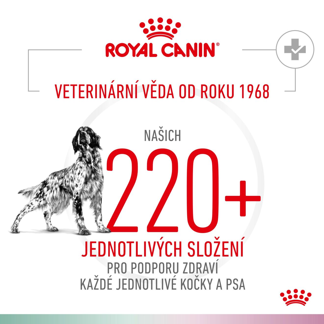 VHN Dog CA Satiety - Mobility Small