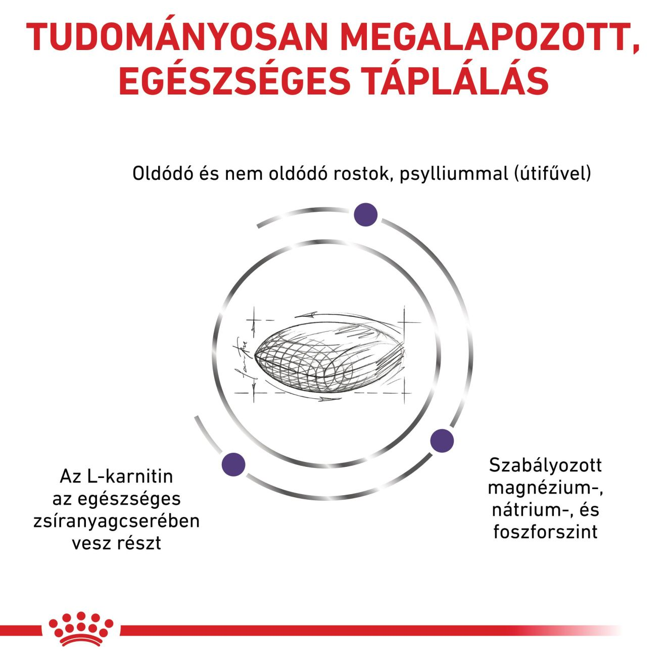 Neutered Satiety Balance