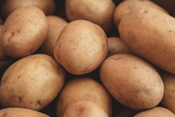 Kartoffeln für Tiernahrung