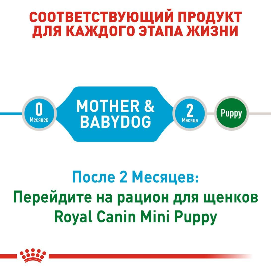 RC-SHN-PuppyMiniStarter_2-RU.jpg
