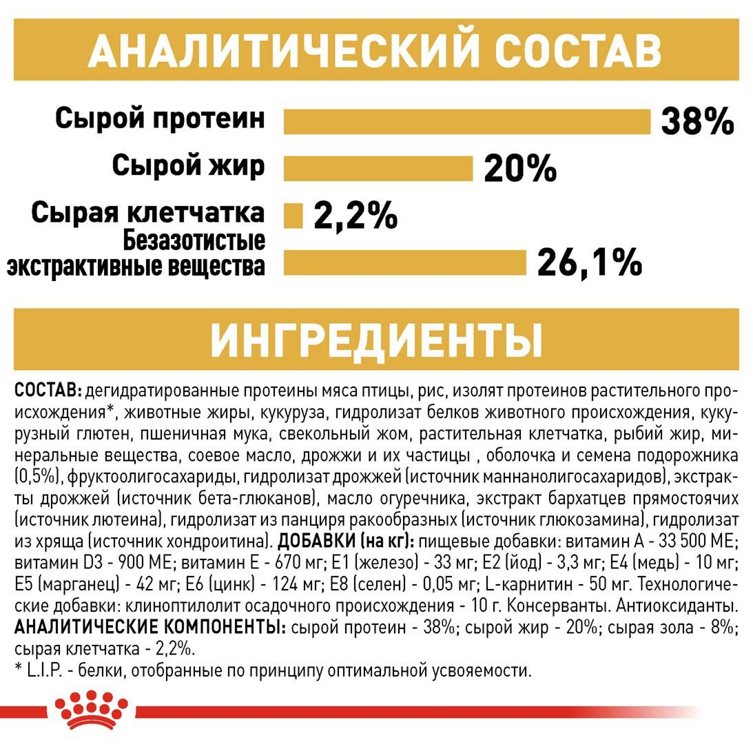 British Shorthair Kitten