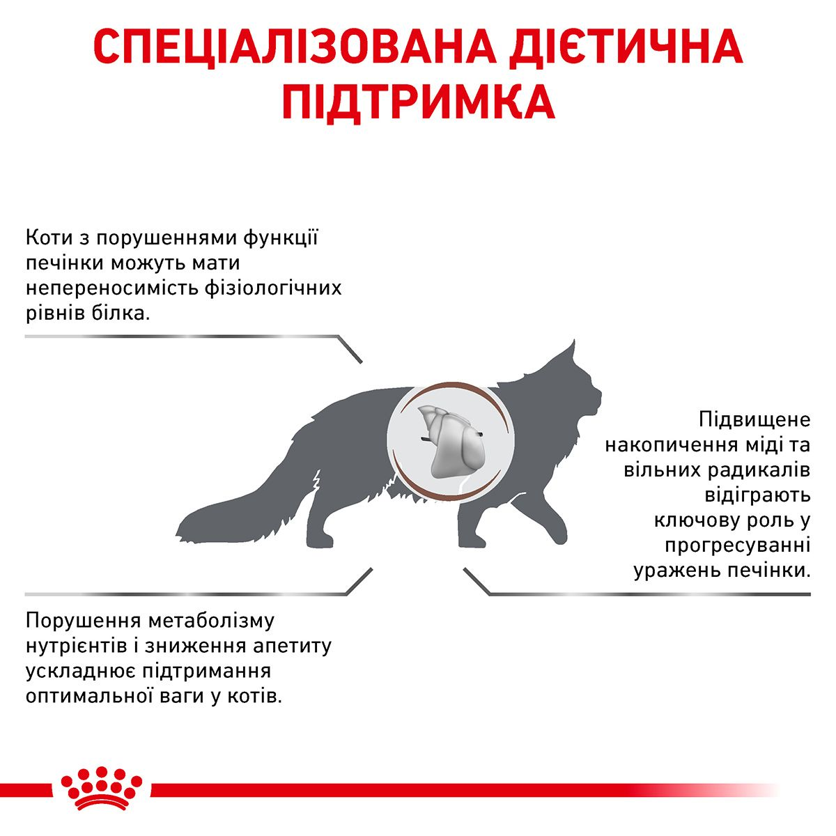Hepatic | Royal Canin UA