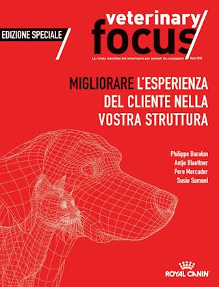 Migliorare l’esperienza del cliente nella vostra struttura