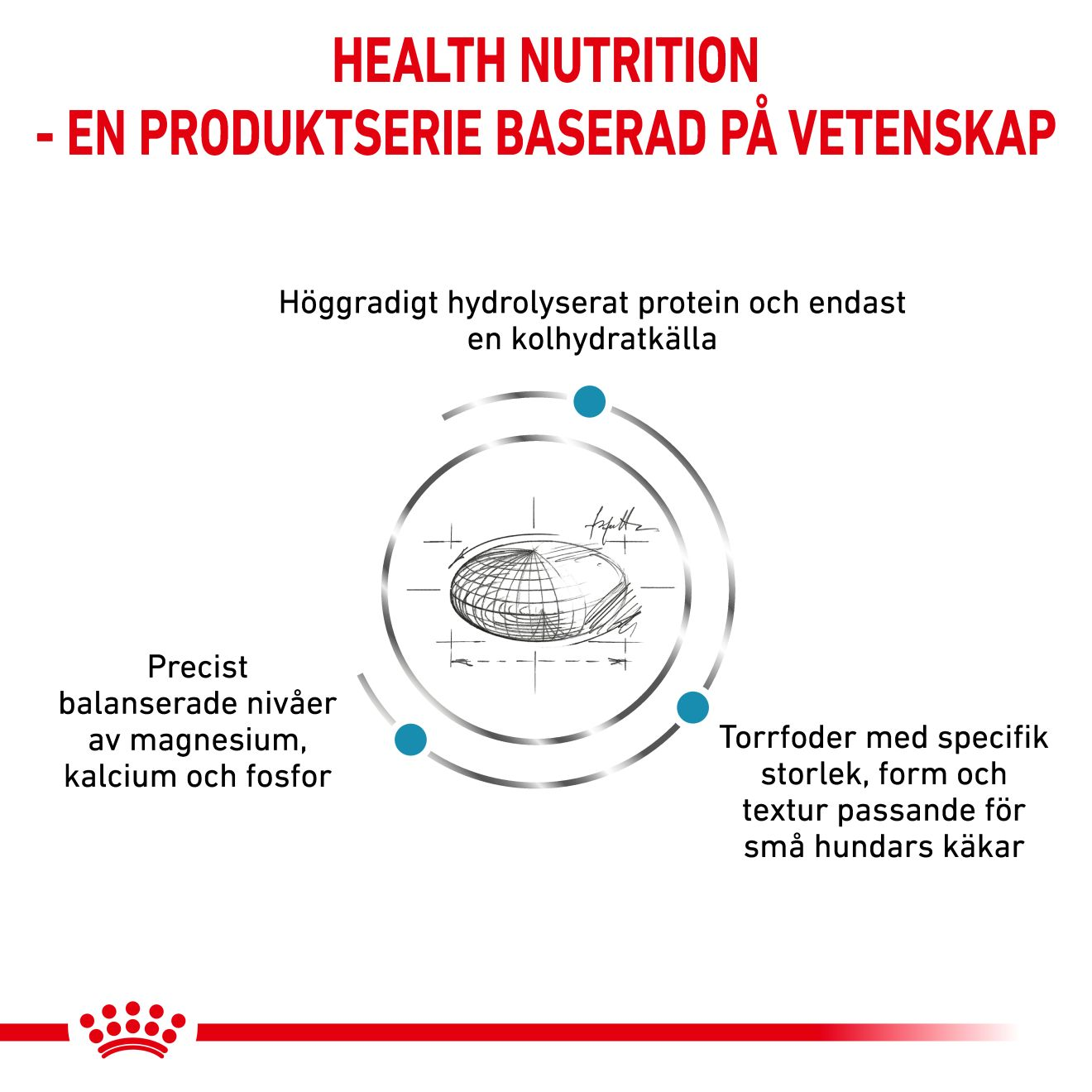 Derma Hypoallergenic Small Dog
