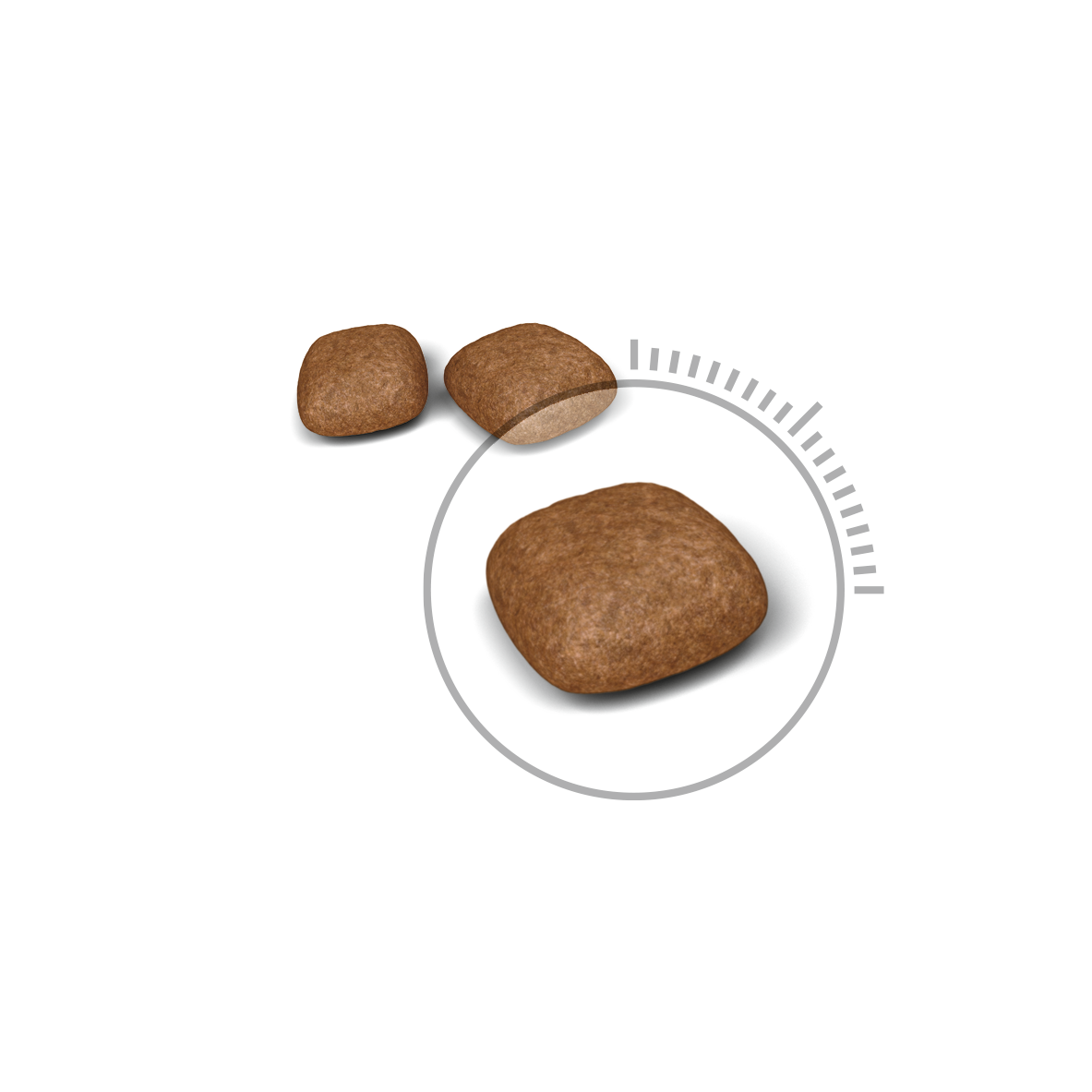 urinary care royal canin cat