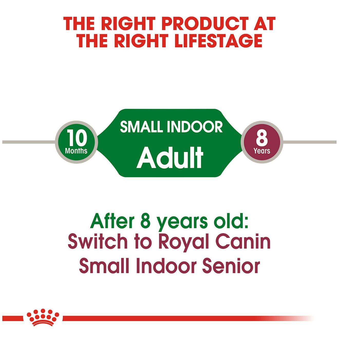 Royal canin shop small indoor senior