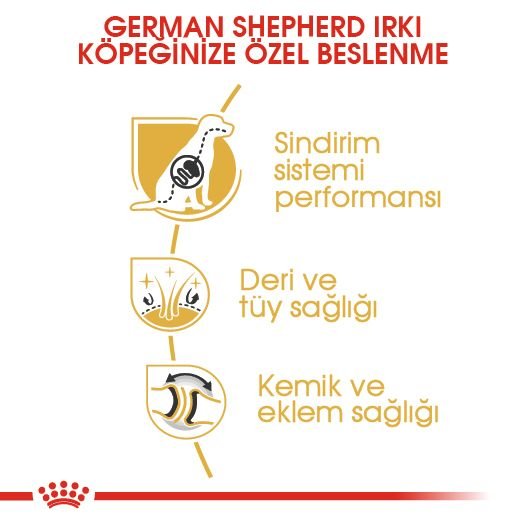 German Shepherd Adult Yetişkin Köpek Kuru Maması
