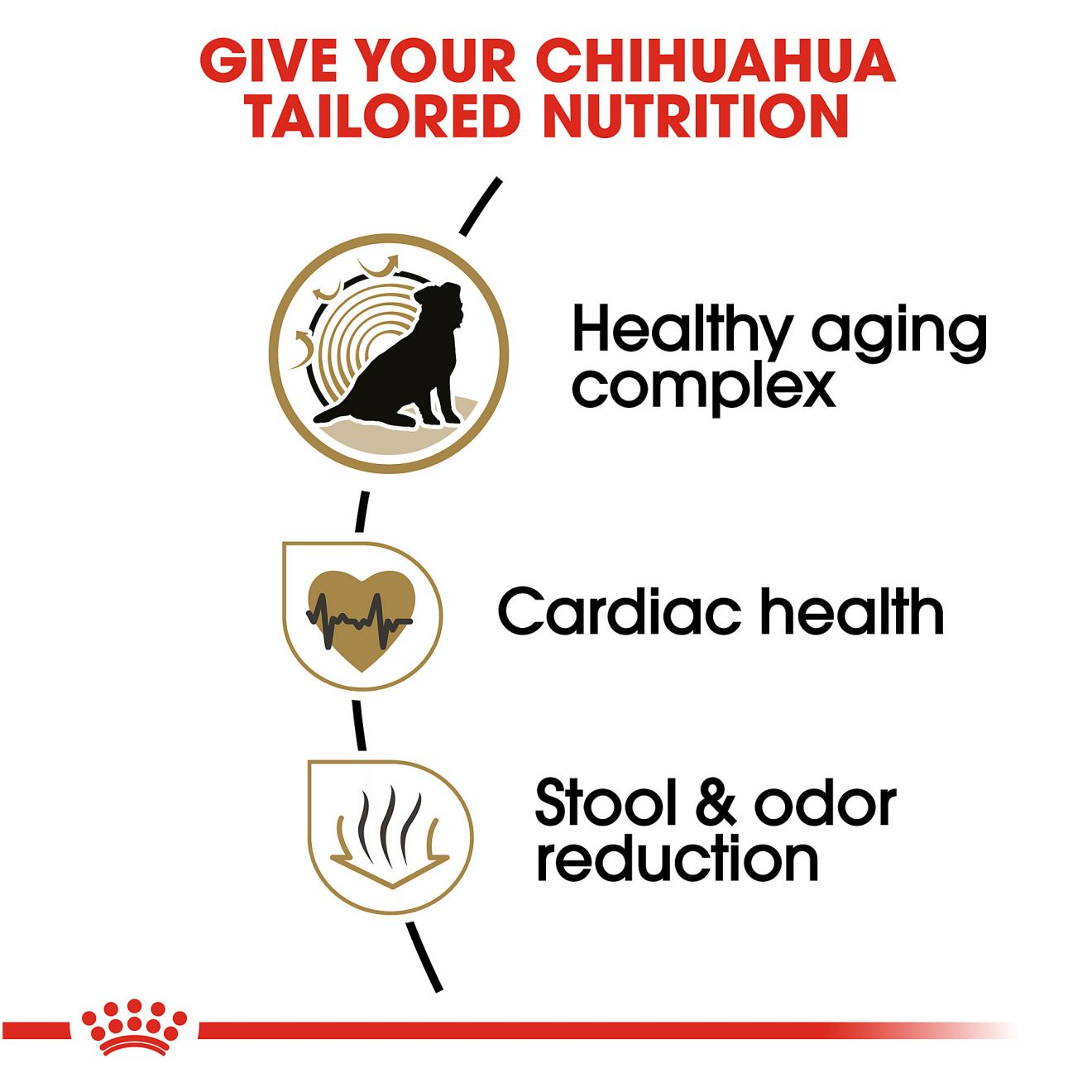 Chihuahua Adult 8+ Dry Dog Food