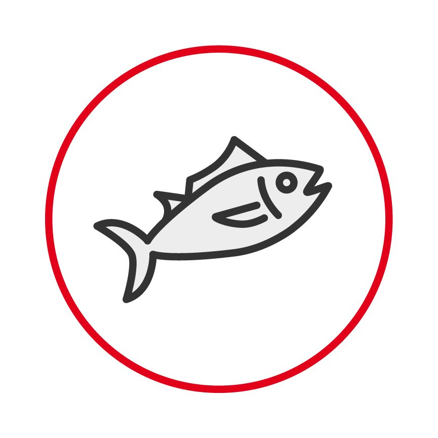Ilustración de un pez