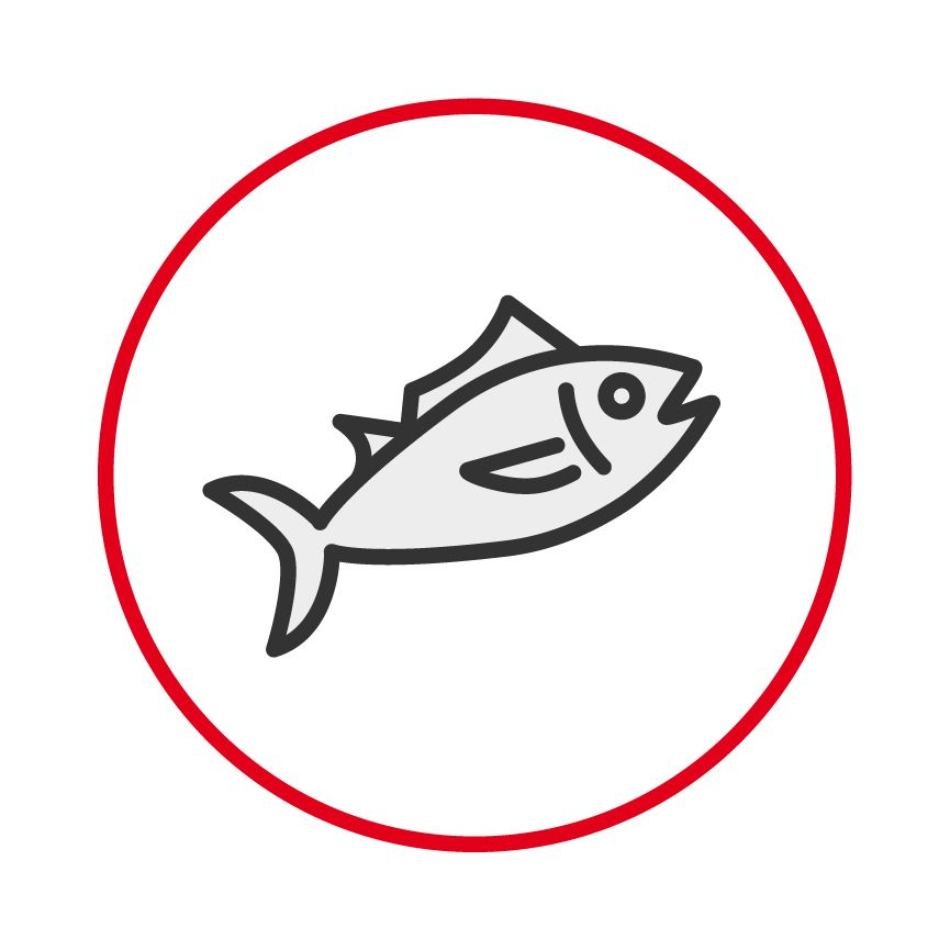 Illustration of a fish