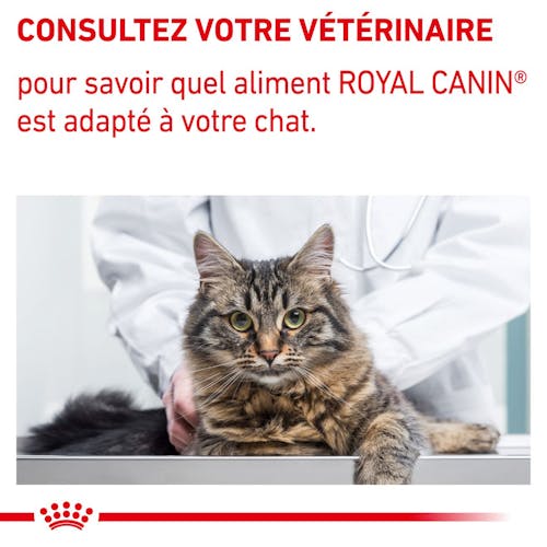 Mature Consult Sauce - Aliment vétérinaire - Sachet fraîcheur pour chat