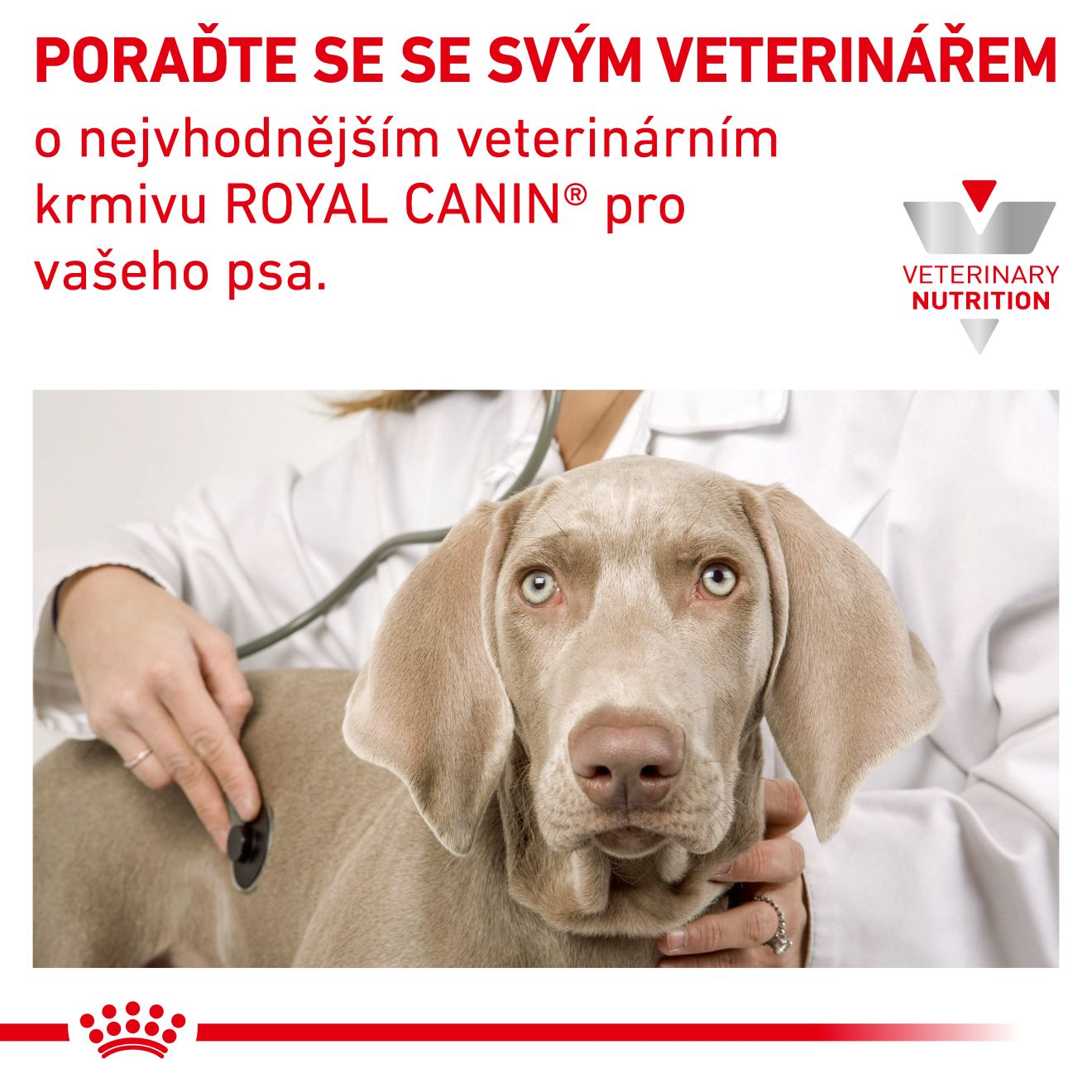 ROYAL CANIN Dog Hypoallergenic Puppy granule ke kontrole nežádoucích reakcí na krmivo během období růstu 