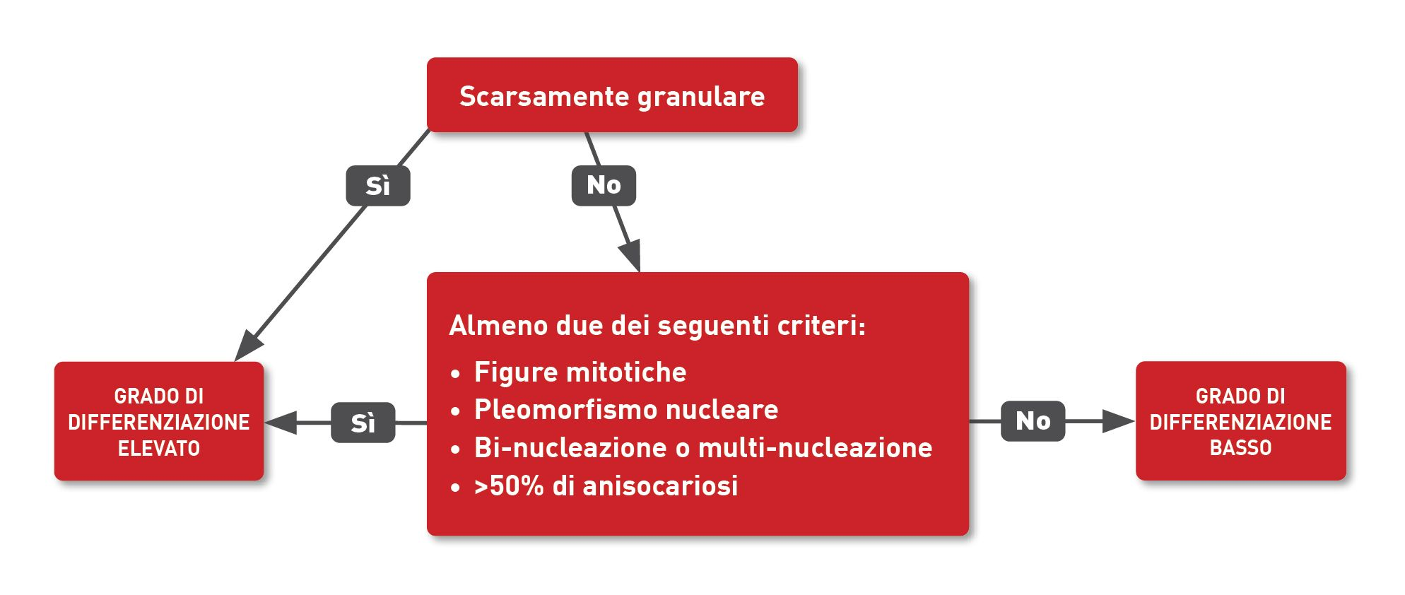 L’identificazione citologica della granularità aiuta a determinare il grado dell’MCT