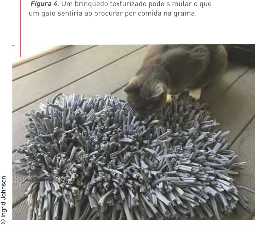 Figura 4. Um brinquedo texturizado pode simular o que um gato sentiria ao procurar por comida na grama. © Ingrid Johnson