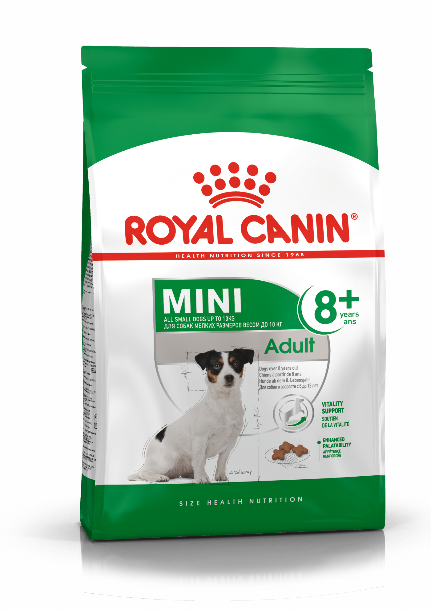 Mini Ageing 12+ Dry - Royal Canin