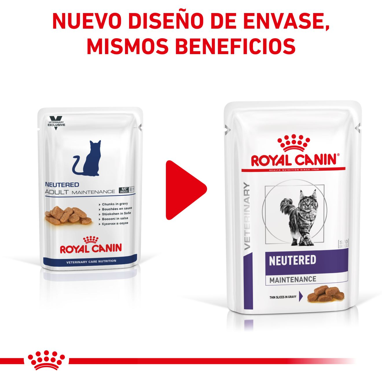 Neutered Maintenance