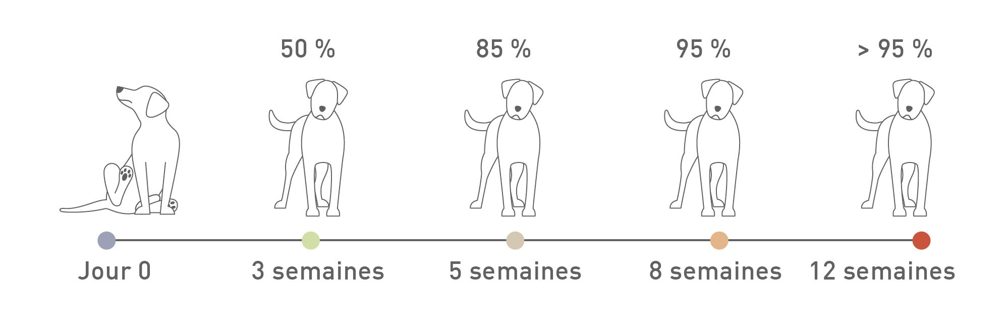 Chronologie de l’amélioration clinique suite à la durée de distribution d’un régime d’éviction