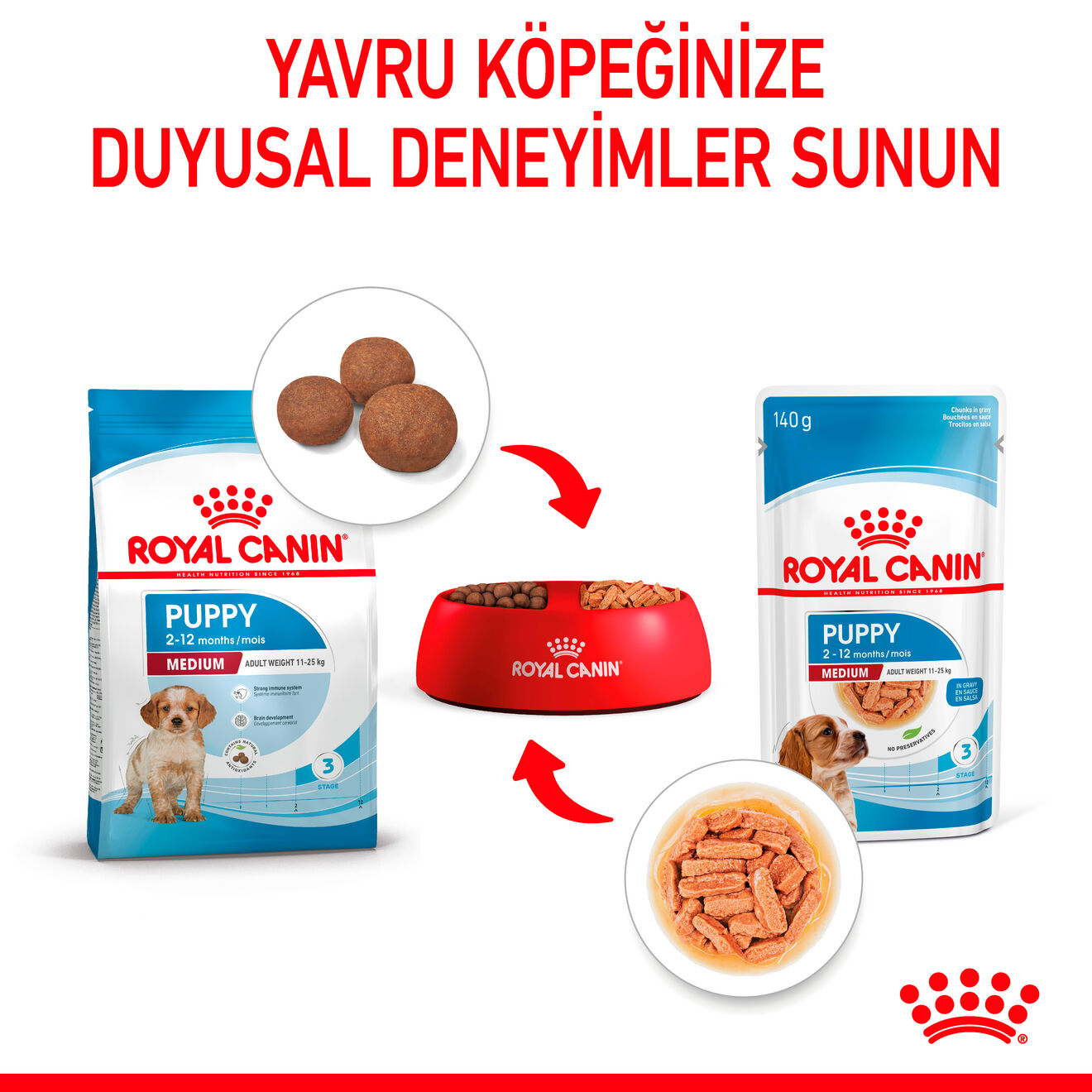 Medium Puppy Gravy Yavru Köpek Yaş Maması