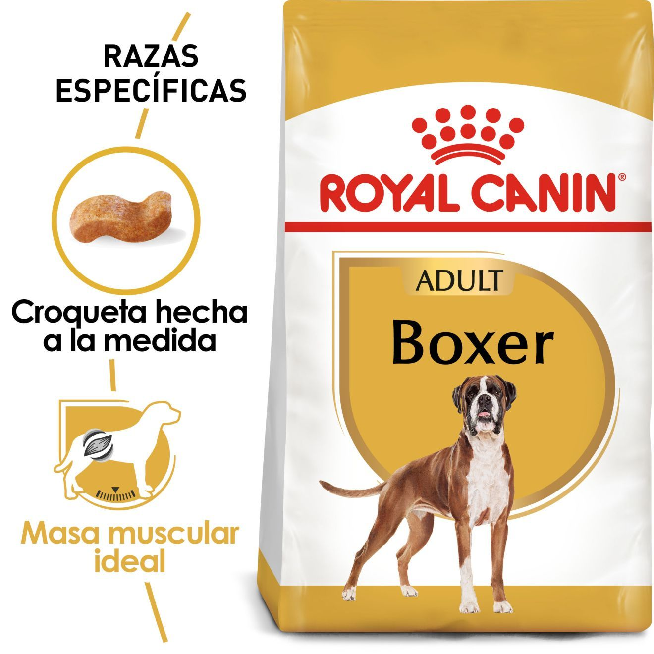 Boxer Adult