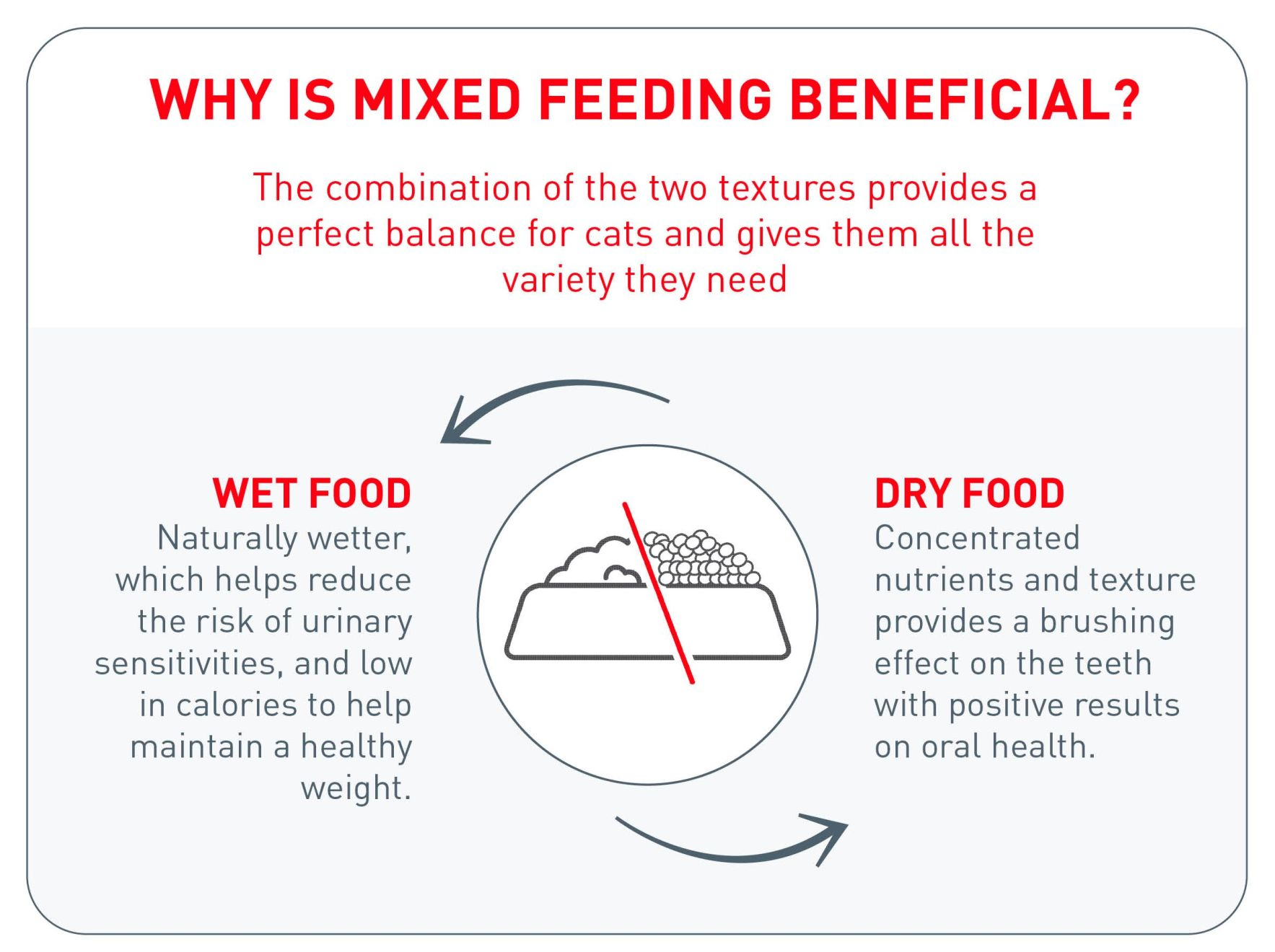 Key benefits of mix-feeding for cats