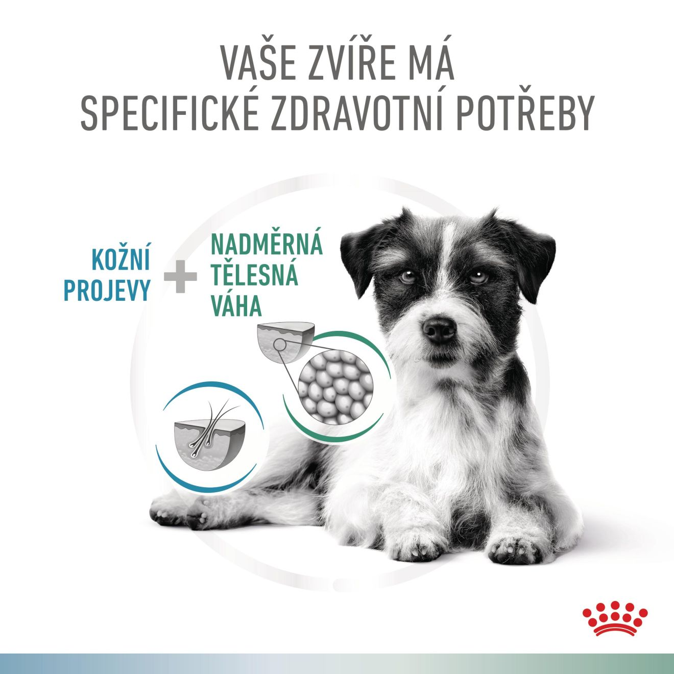 VHN Dog CA Hypoallergenic - Satiety Small