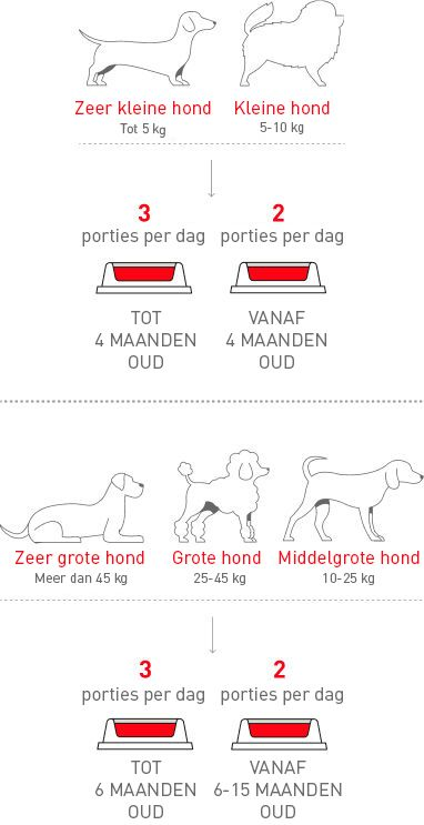 RC_NL_Feeding_schedule_by_growth_stage