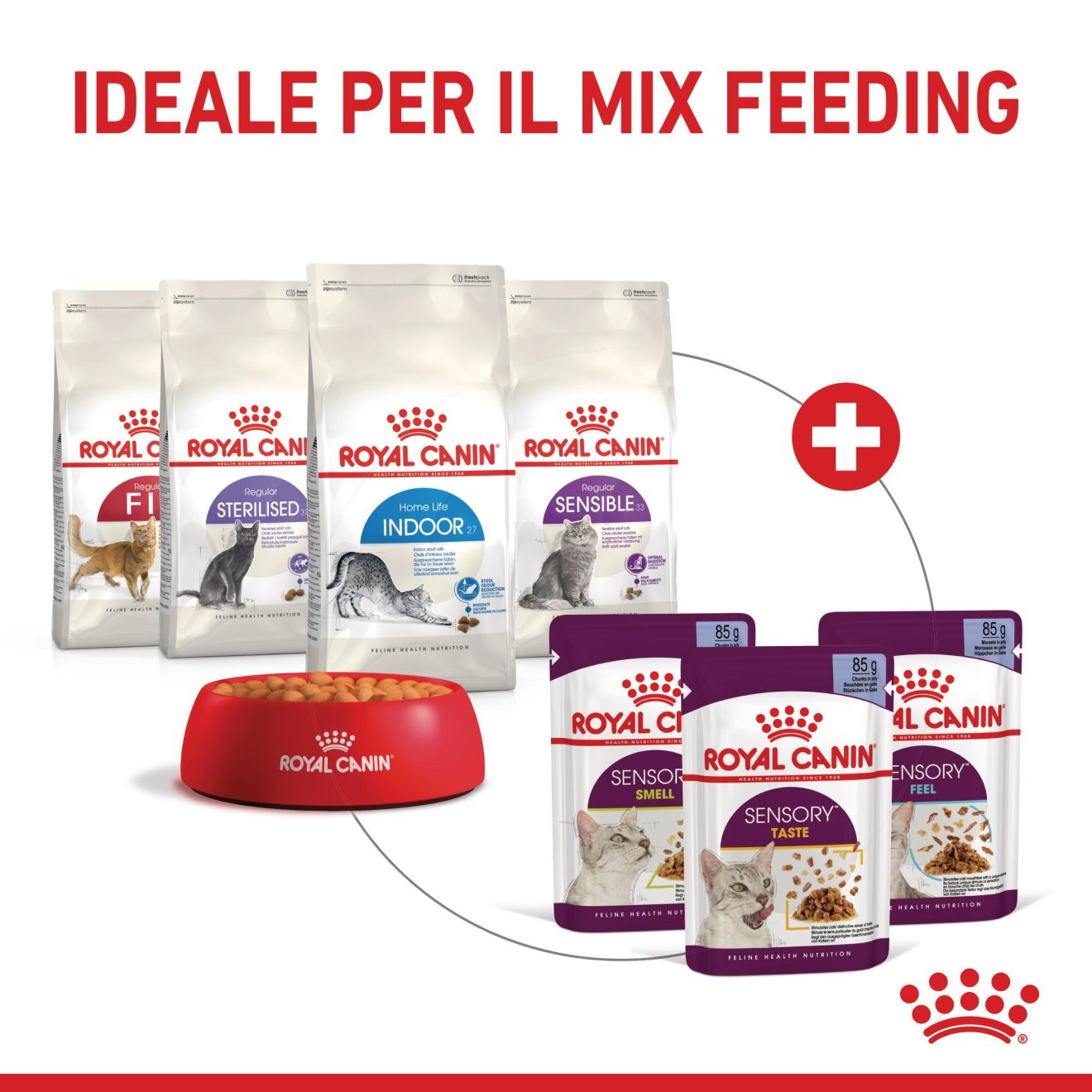 SENSORY™ FEEL straccetti in gelatina