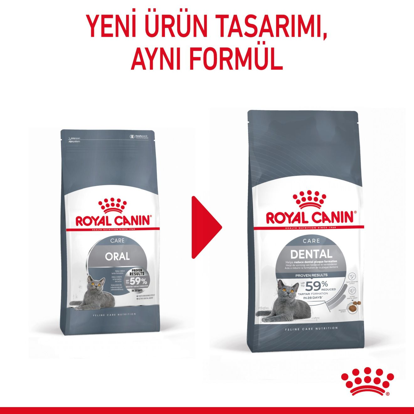 Dental Care Yetişkin Kedi Kuru Maması