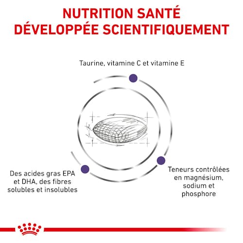 Adult - Aliment vétérinaire pour chat